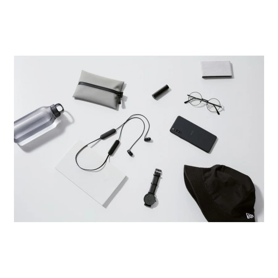 Sony WI-C100 Black (WIC100B.CE7)